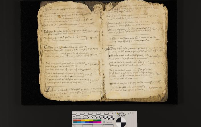 St Peter Port: Greffe, Langlois A.2 Livre de Perchage (1584) for Fief le Comte au Castel
