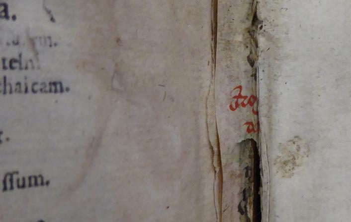 Colchester Harsnett H.g.13 ii